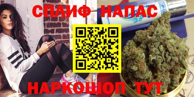 мяу мяу мука Будённовск
