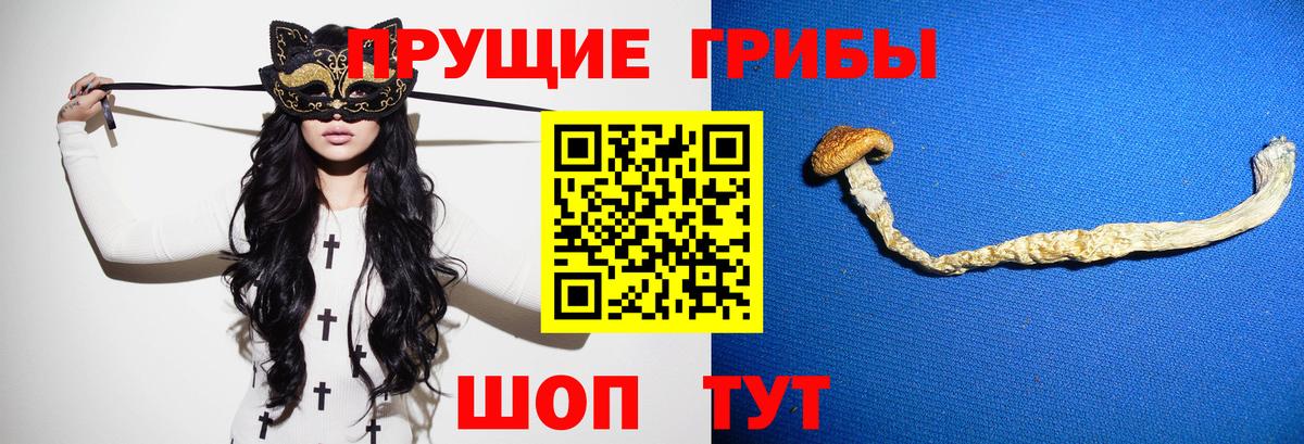 Дзержинск  Галлюциногенные грибы Magic Shrooms  Вход с VPN 