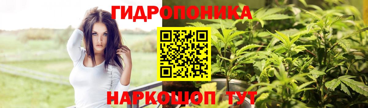 Бошки Шишки SATIVA & INDICA  Вход с VPN  Марихуана марихуана  Бошки марихуана ГИДРОПОН  Дзержинск 